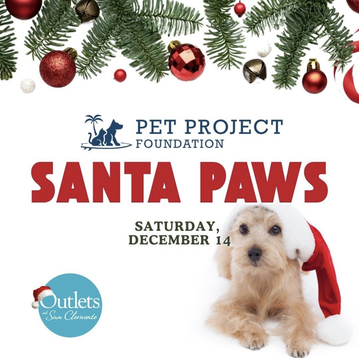 Pet Project Foundation: Santa Paws